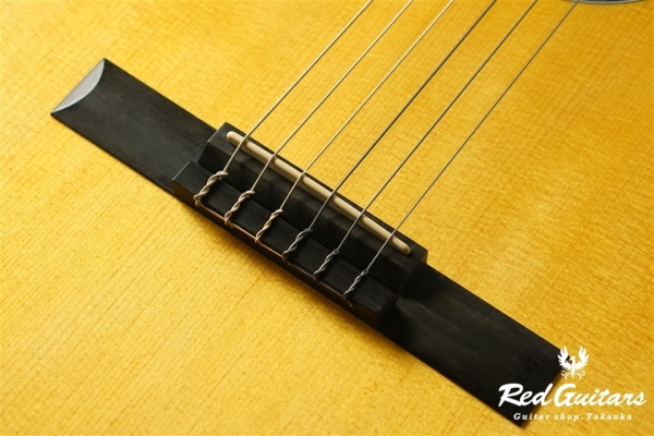 00-Nylon w/FISHMAN Matrix VT Enhance